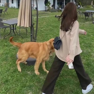 妄想